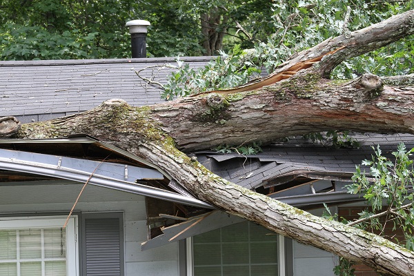 Storm Damage - Avoid Storm Chasers - Choose a Local Roofer