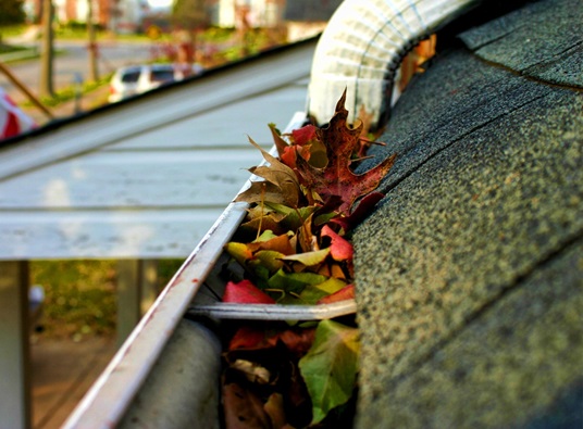 Common Gutter Problems And Their One Best Solution