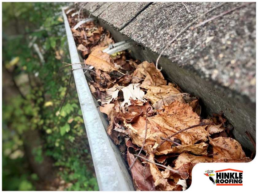 What’s Usually Causing The Clogs In Your Gutters?