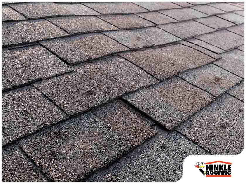 Asphalt Shingle Blisters: Causes And Prevention