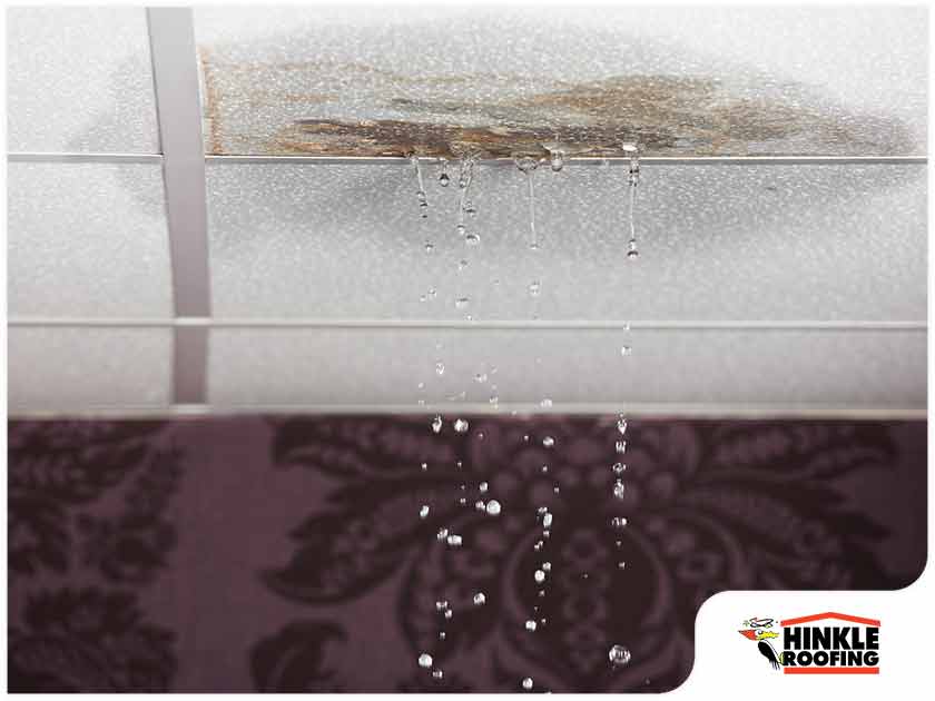 Know The Difference Between A Leak And Attic Condensation