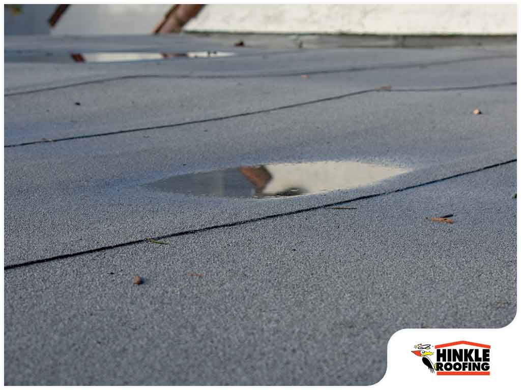 Why Should You Fix The Water Pooling On Your Flat Roof?